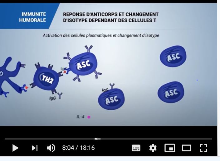 Lire la suite à propos de l’article Pandémie : à voir et à lire